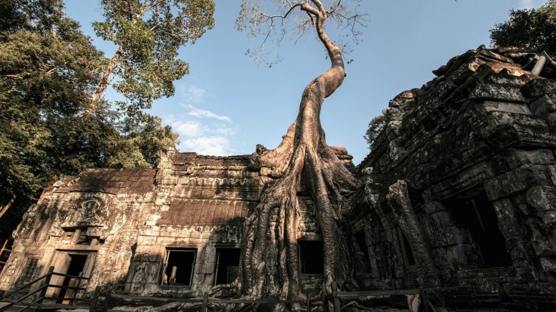 Day 2 Discover Mystical Atmosphere Amid Roots And Stones At Ta Prohm Temple