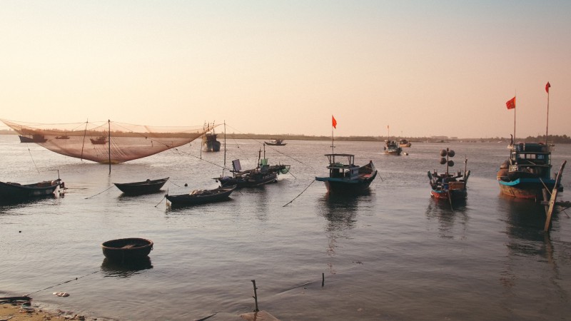 Learn Old Fishing Techniques As Nets Glide Gracefully Across The Sparkling Water