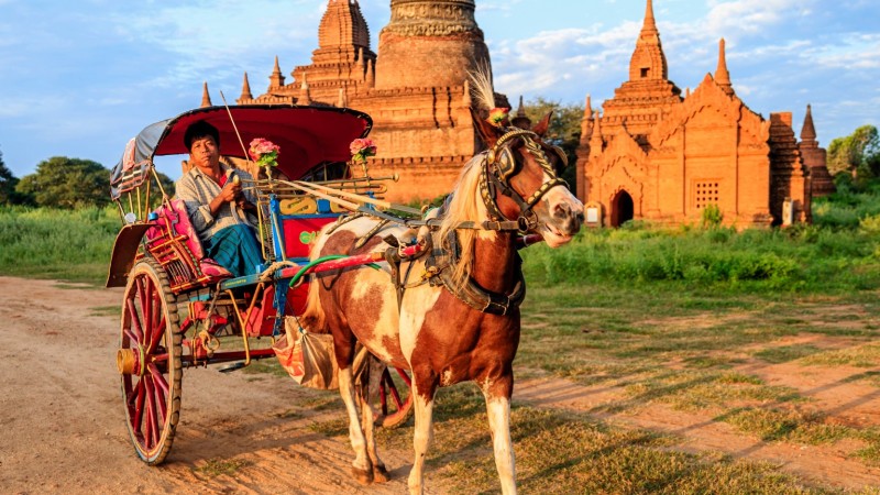Day 3 Enjoy A Traditional Horse Cart Ride