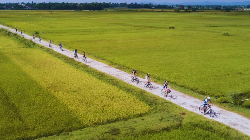 Visit Cam Kim Island And Experience Rural Life