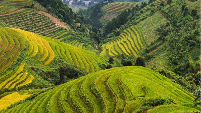Day 3 Trek Through The Spectacular Landscapes Of Sapa