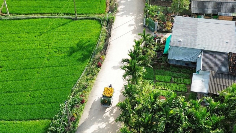 Day 8 Cycle Through The Peaceful Countryside And Lush Rice Fields Of Hoi An