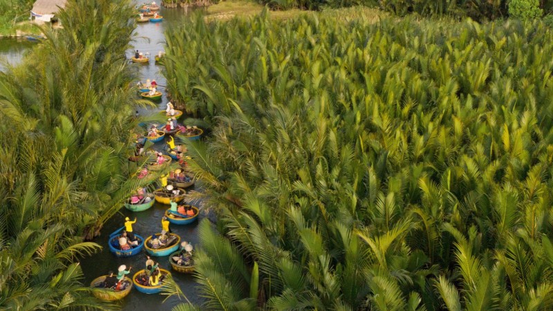Day 7 Paddle Through The Lush Coconut Palm Waterways Of Cam Thanh Village