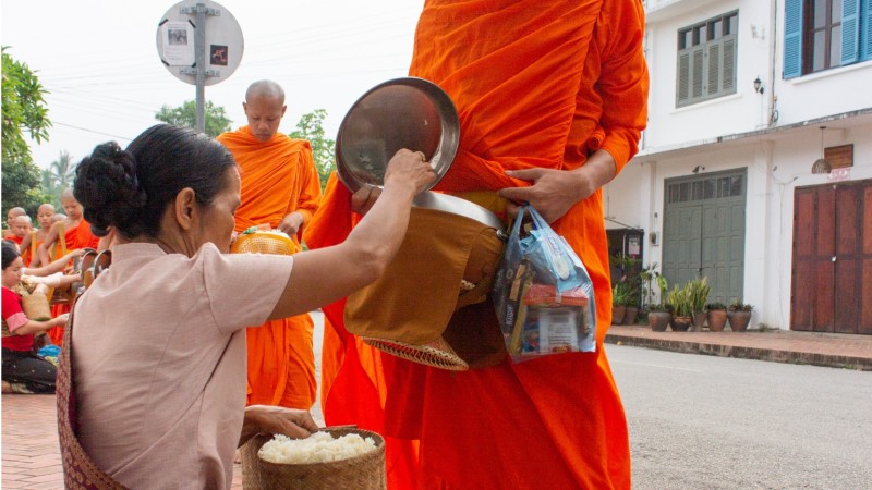 Day 2 Witness The Sacred Morning Tradition Of Monks Receiving Alms
