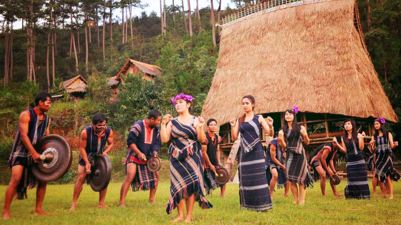 Enjoy The Gong Music Performances