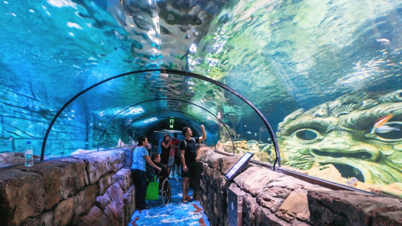 Explore The Marine Life At National Oceanographic Museum