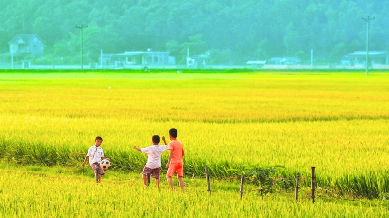 Bike Through The Peaceful Paddy Fields