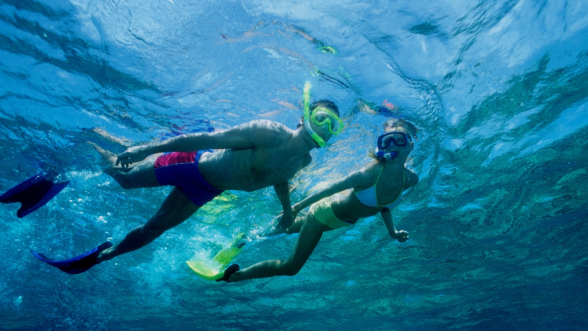 Snorkeling And Coral Diving In The Pristine Water
