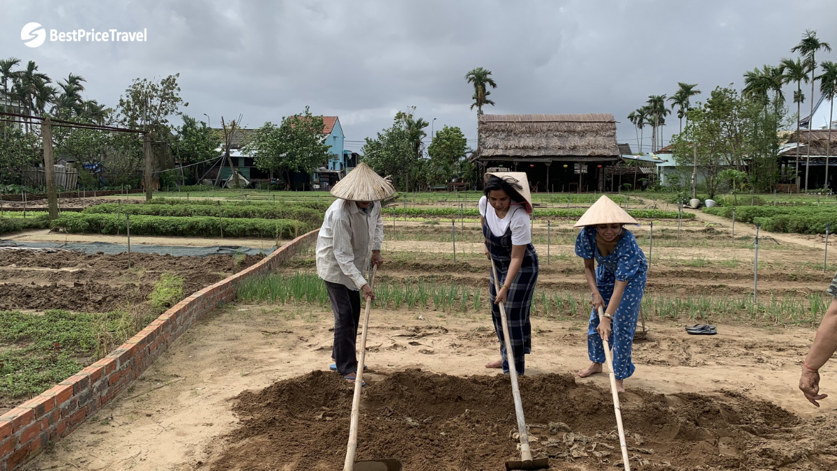 Learn How To Water Plants And Grow Crops From The Local Villagers