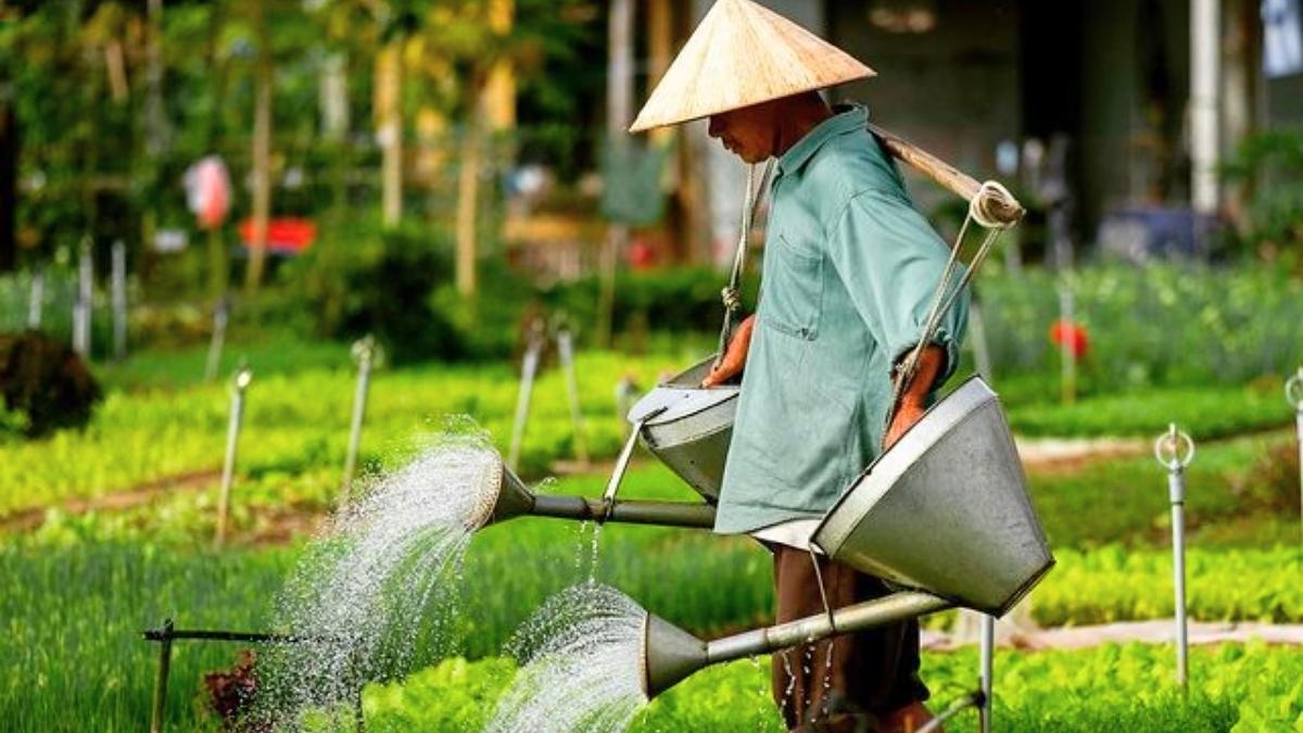 Watch Farmers Doing Their Farm Work
