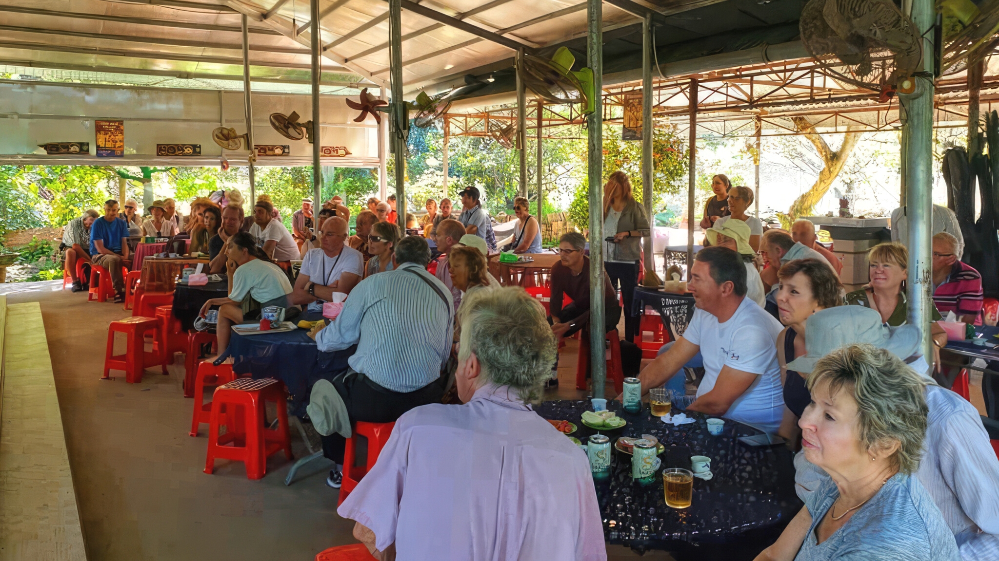 Listen to Don ca tai tu