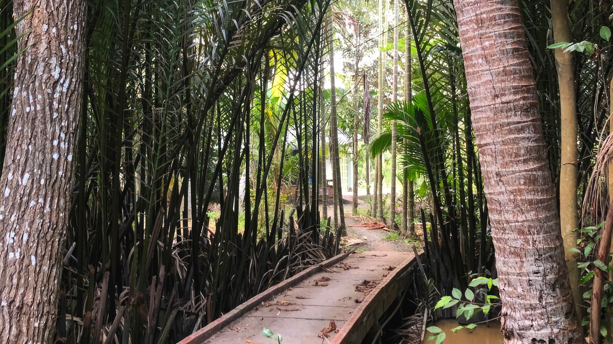 Peaceful walking trip on land