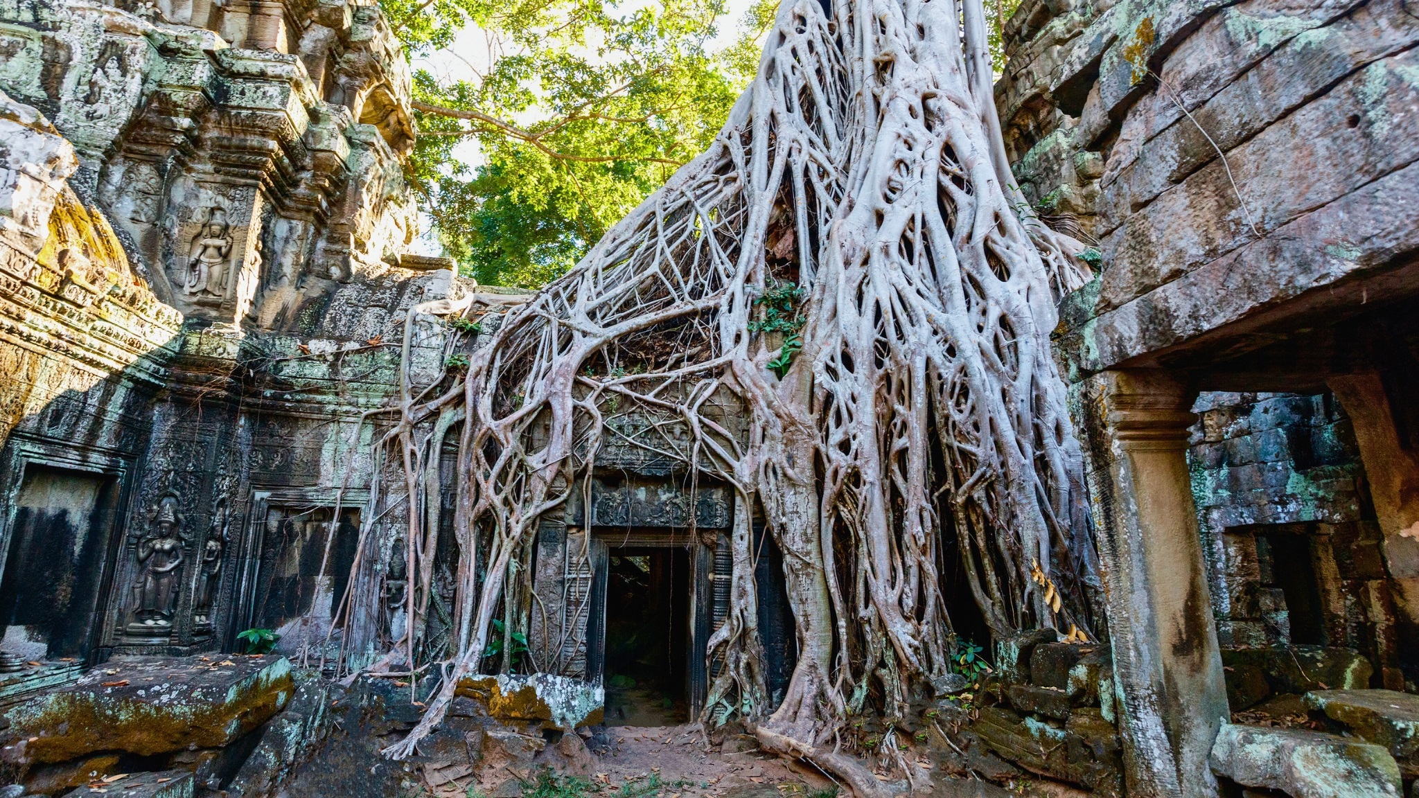 Day 13 Ancient Vibe In Ta Prohm Temple