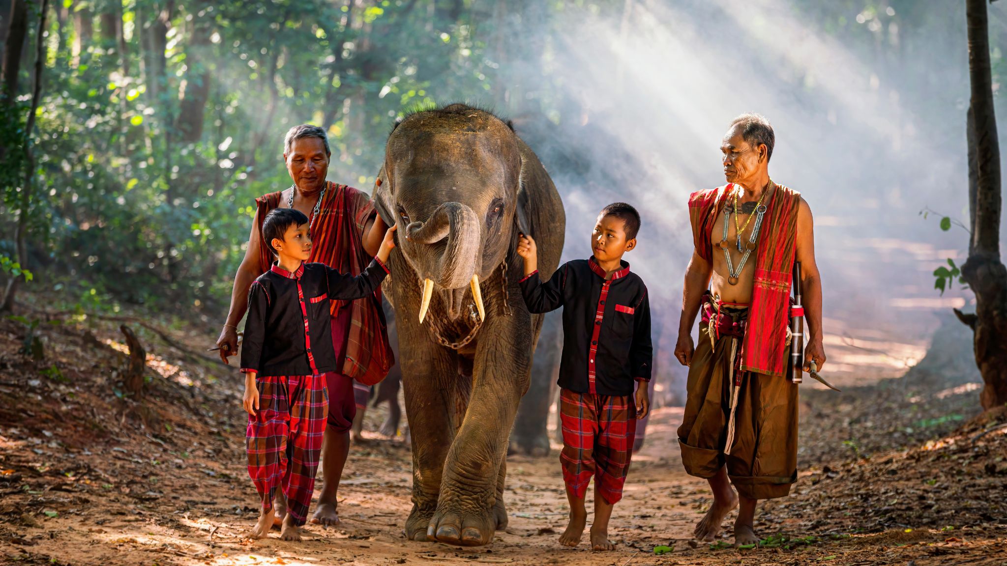 Day 4 Meaningful Experience To Interact With Elephants