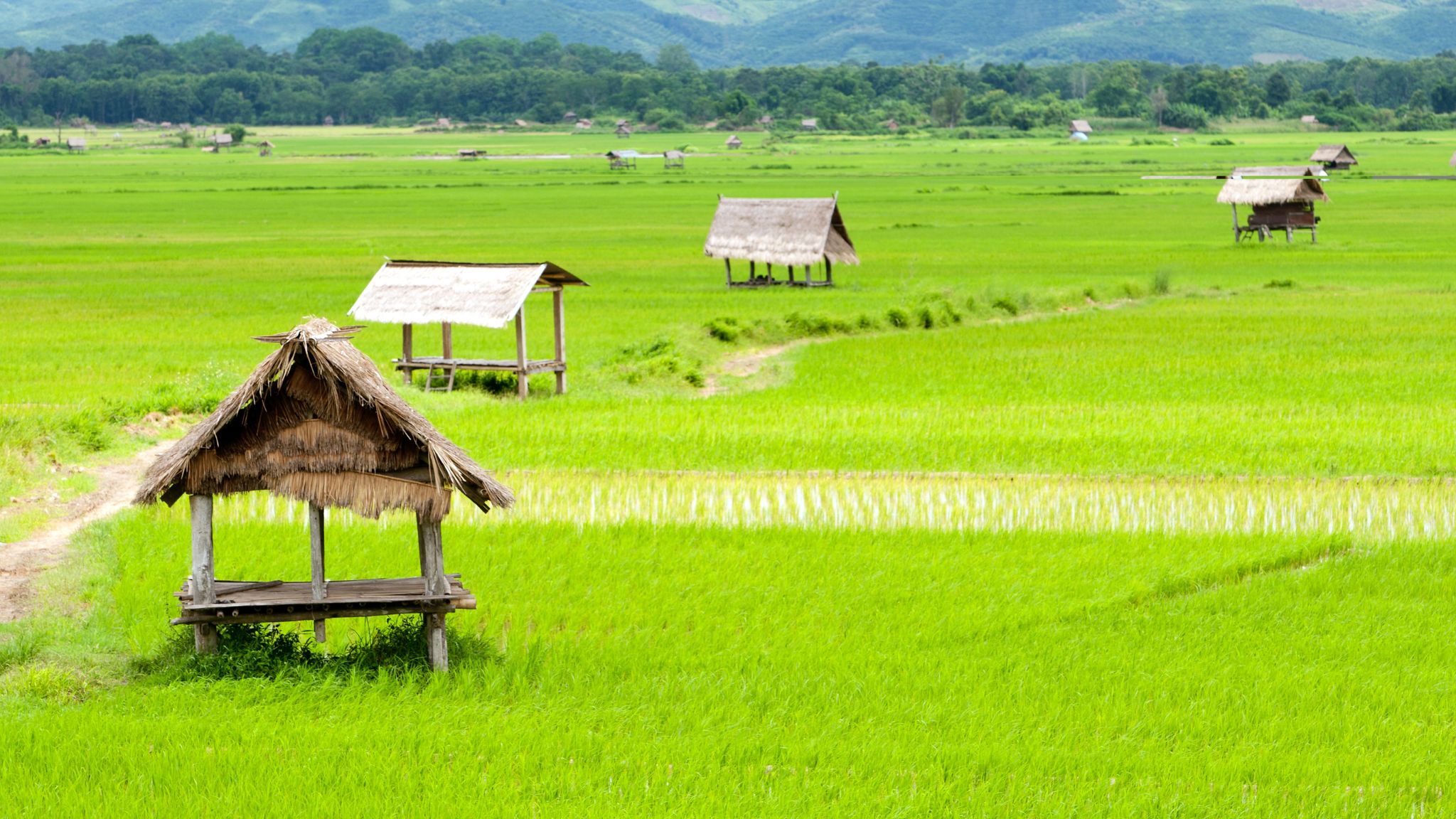 Day 2 Luang Namtha A Picturesque Landscapes
