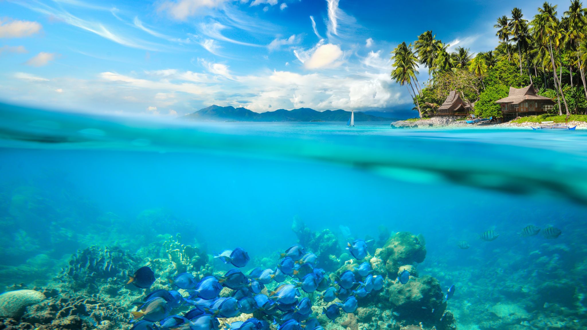 Day 7 Coral Island The Incredible Tropical Paradise