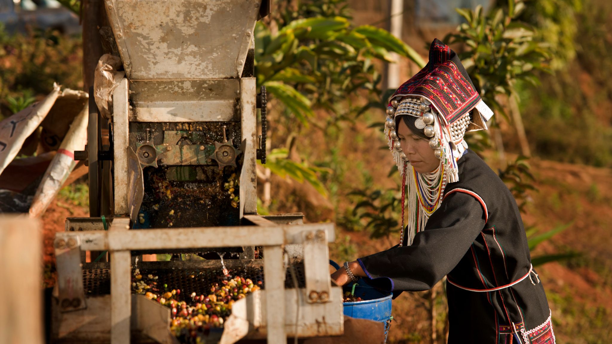 Day 5 Explore Cultural Diversity In Akha Villages