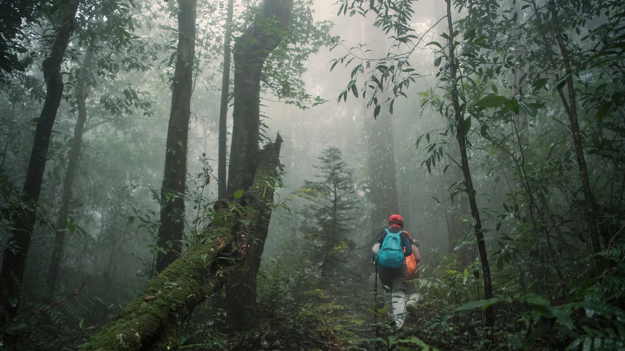 Day 4 Go Trekking In Tad Sang