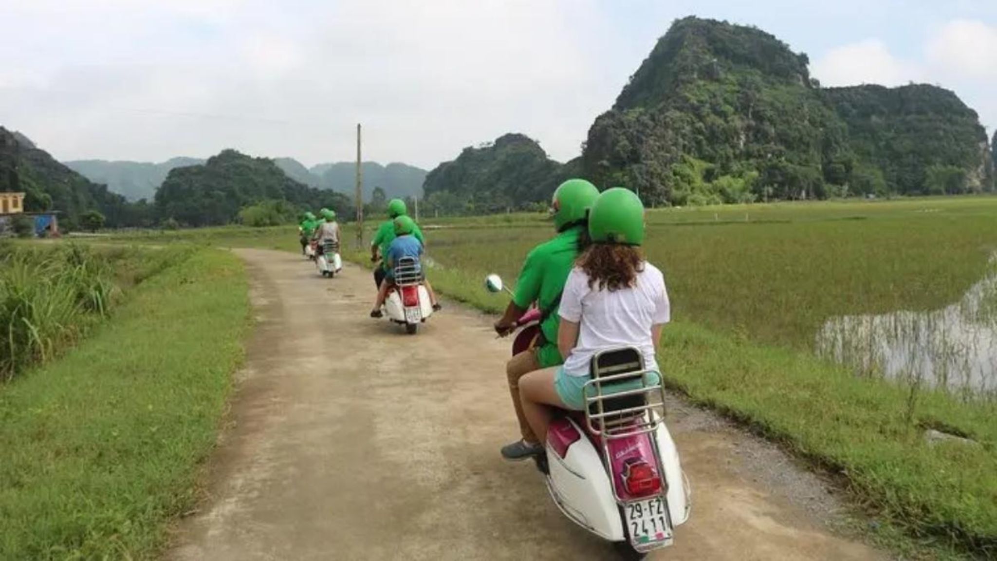 Drive Through Rice Paddies Of Mekong Delta