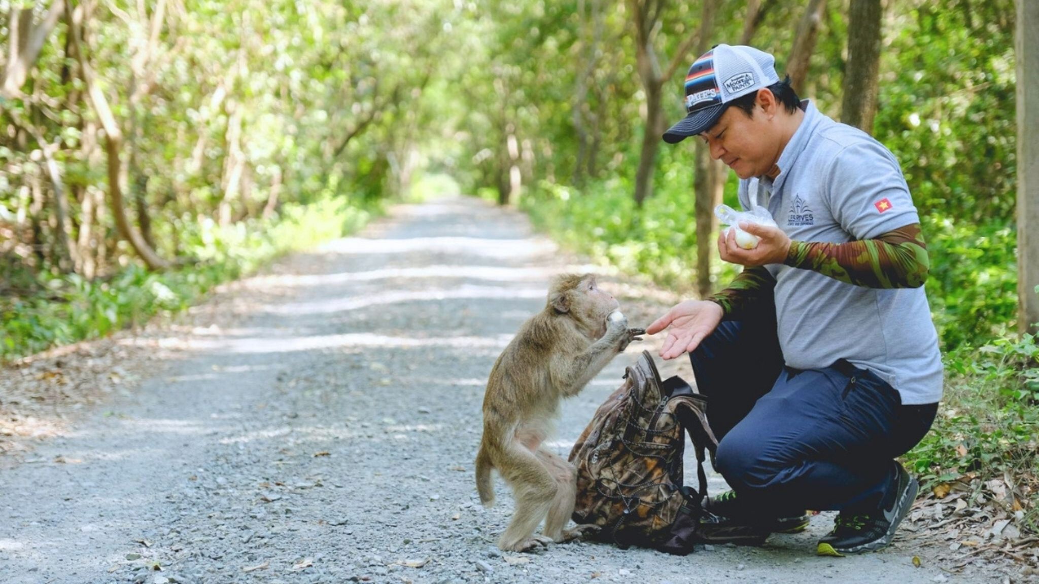 Play With Monkeys Living In Vam Sat Eco Park