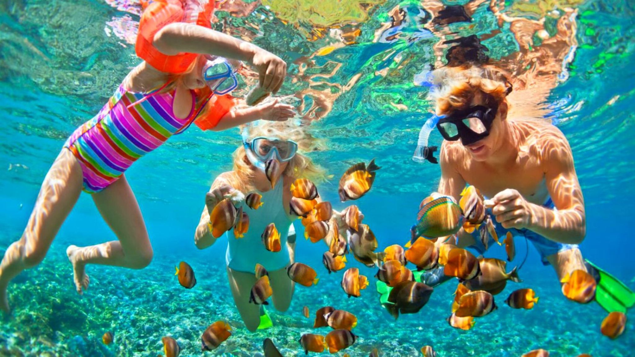 Thrilling Snorkeling Under The Emerald Ocean