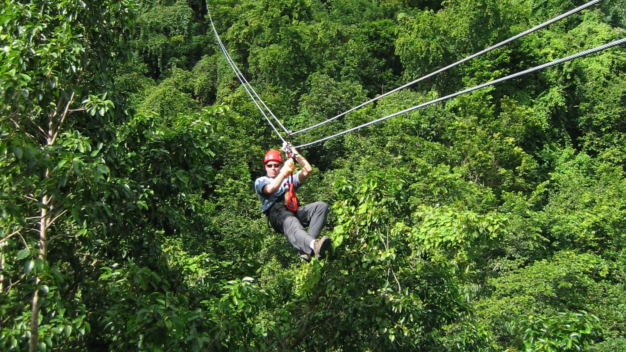 An Exciting And Unique Way To Explore The Natural Environment
