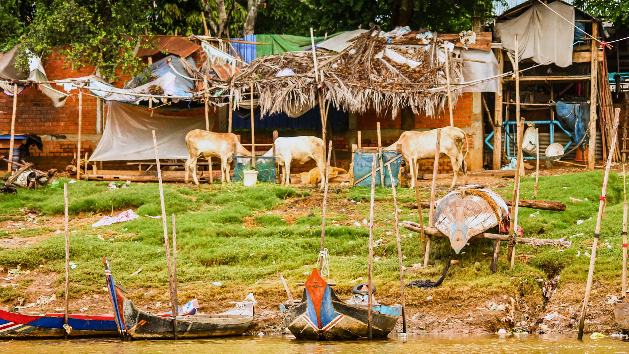 Day 1 Tonle Sap Lake Is Southeast Asia's Largest Lake