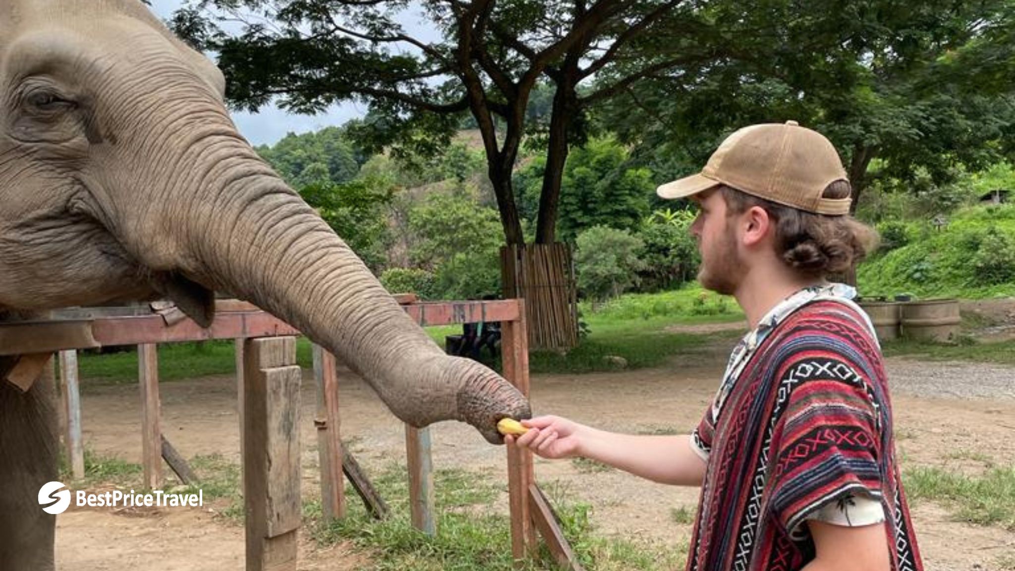 Day 3 Have The Chance To Interact With The Friendly Elephants