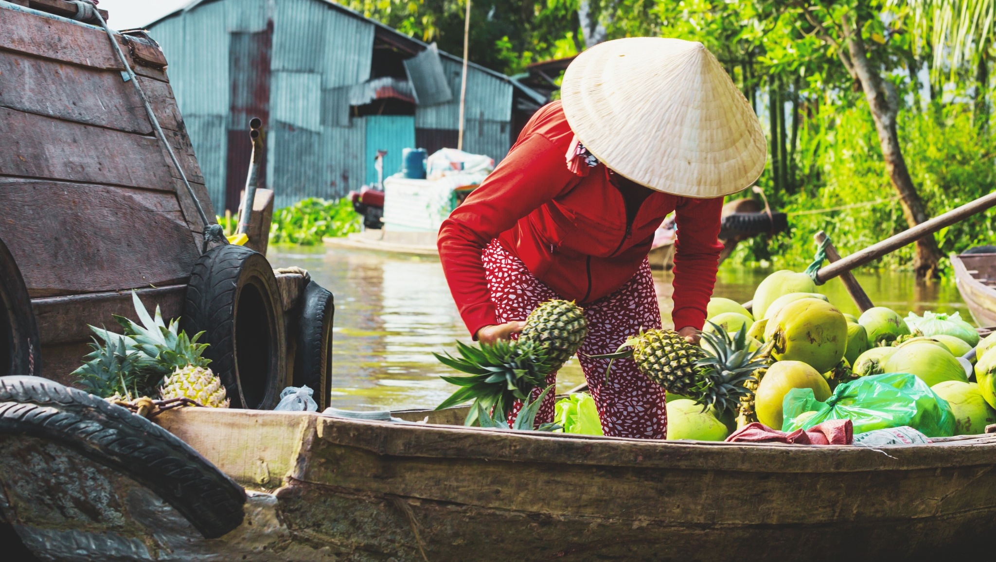 Savor Fresh Fruits Of Mekong Delta