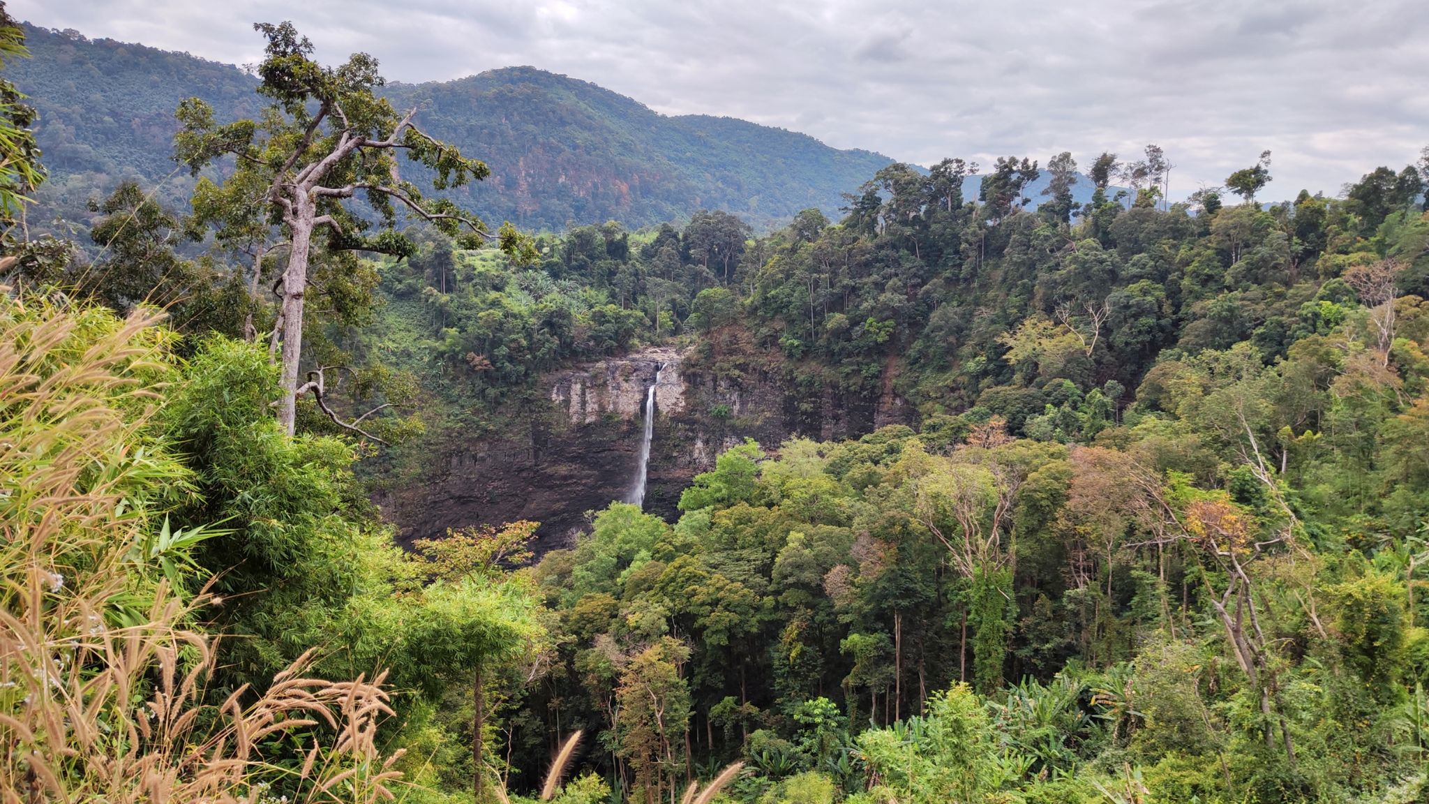 Day 15 Bolaven Plateau A Mountainous Area