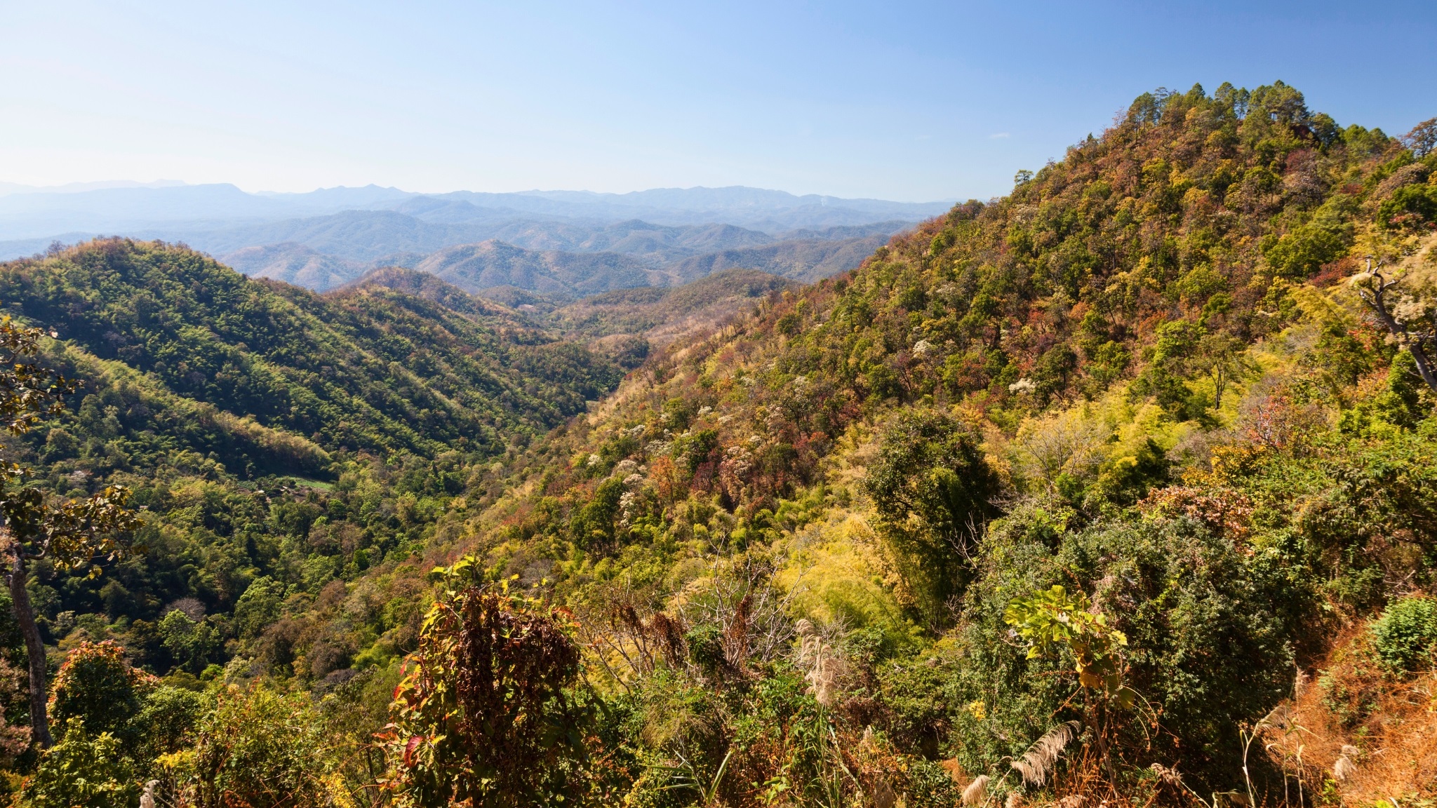 Peaceful View Of Mae Sa Valley