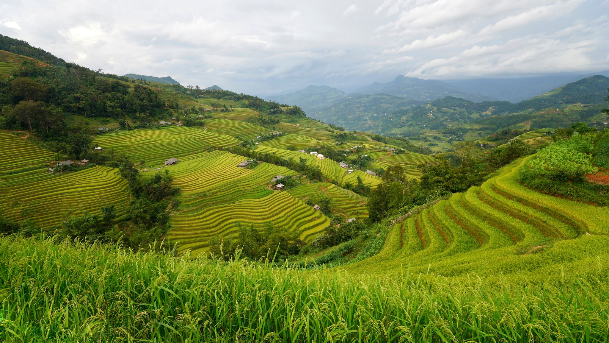 Day 2 Terrace Fields In Hoang Su Phi, Ha Giang