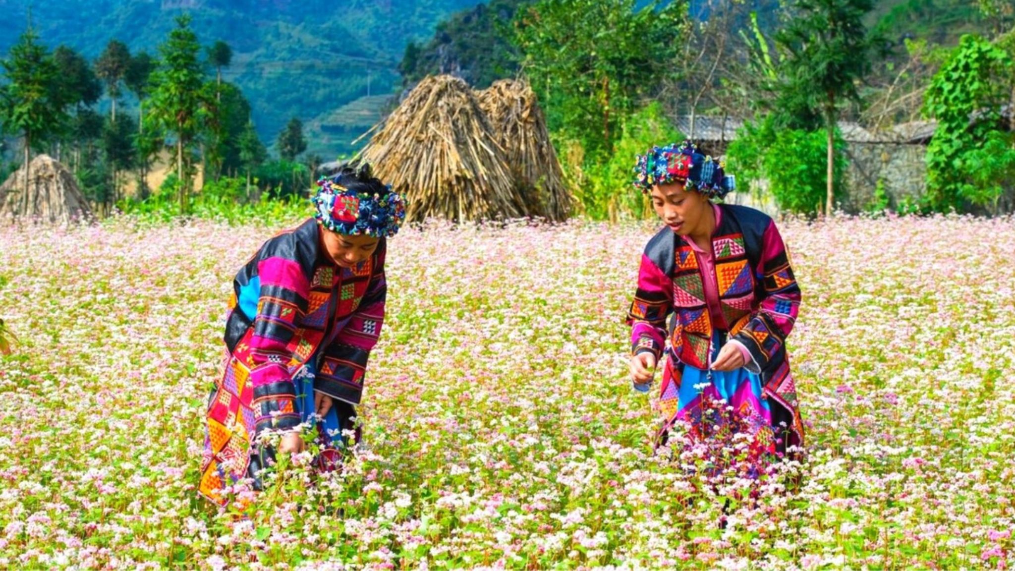 Day 3 Tay People Wearing Their Traditional Clothes
