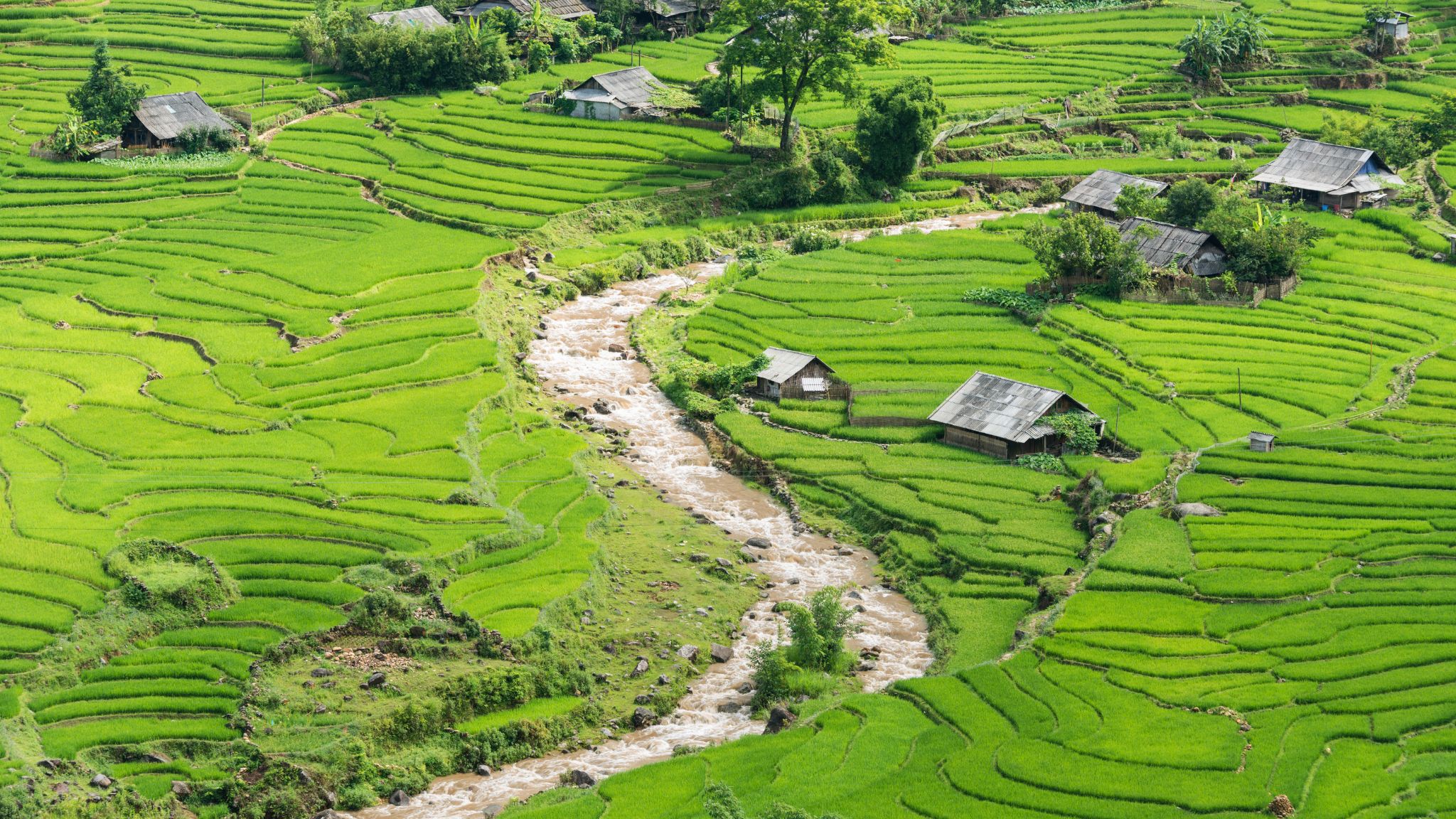Day 3 Admire The Panorama View Of Ta Van Village