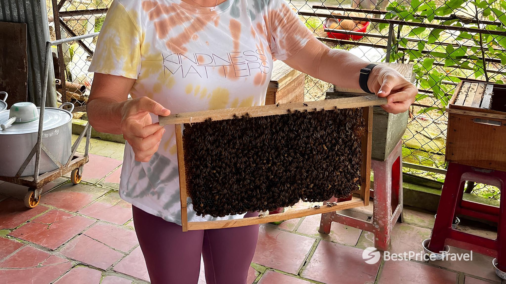 Day 3 Explore The Hidden Stories In The Bee Farm