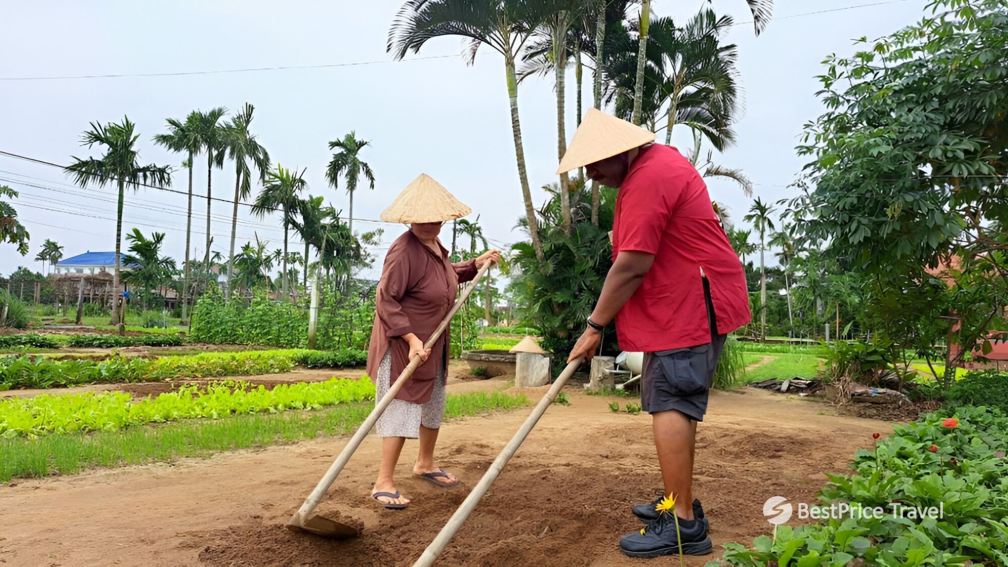 Day 4 Experience Farming Like A Local