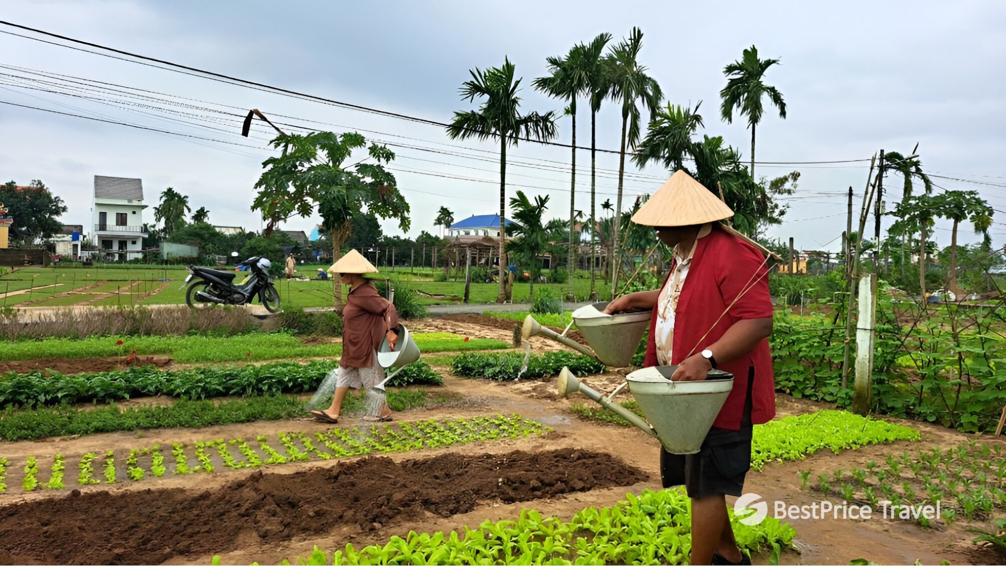 Day 5 Take Part In Some Farming Activities In Tra Que Village
