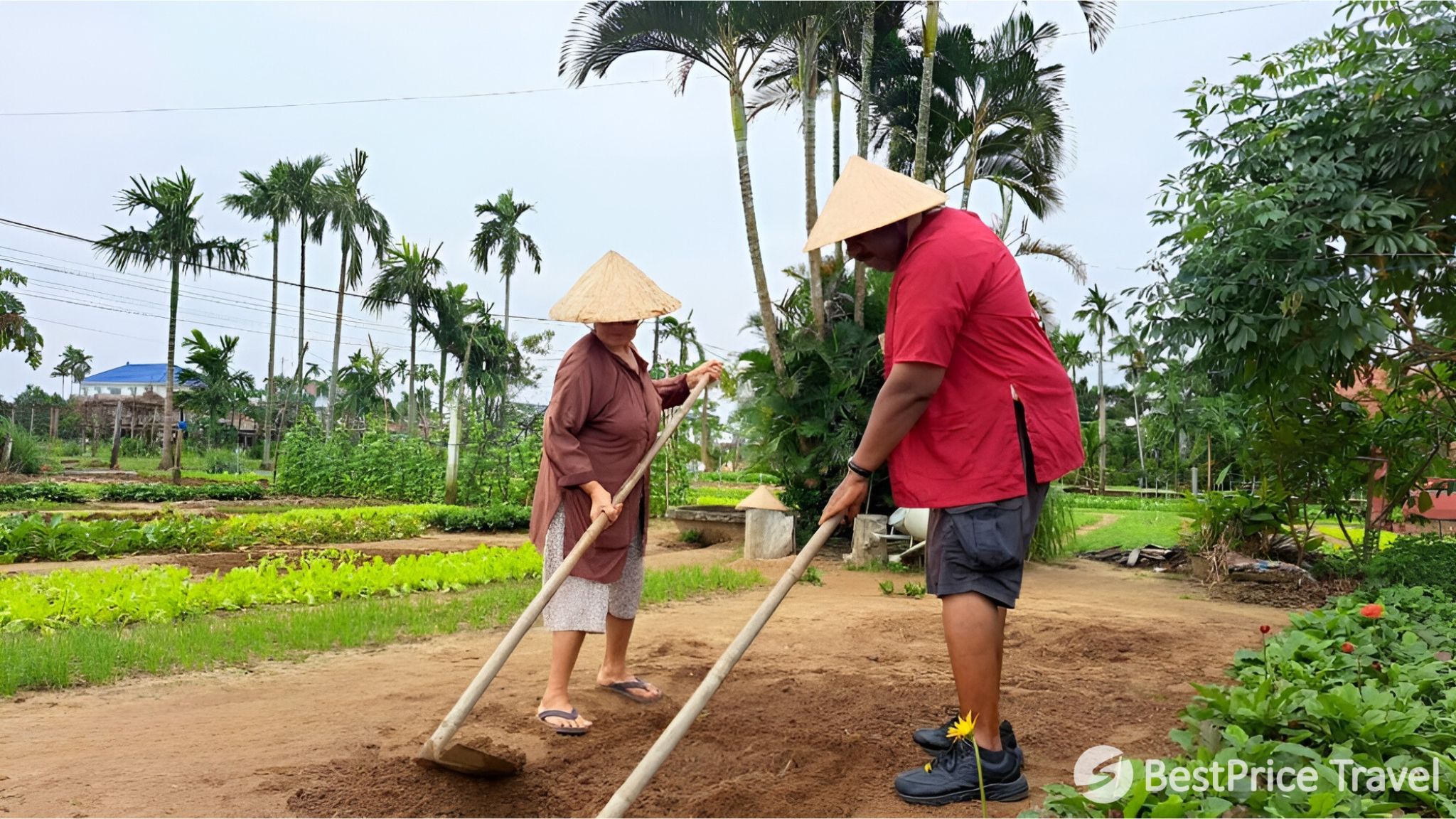 Day 6 Gardening In Cam Thanh Village Like A Local