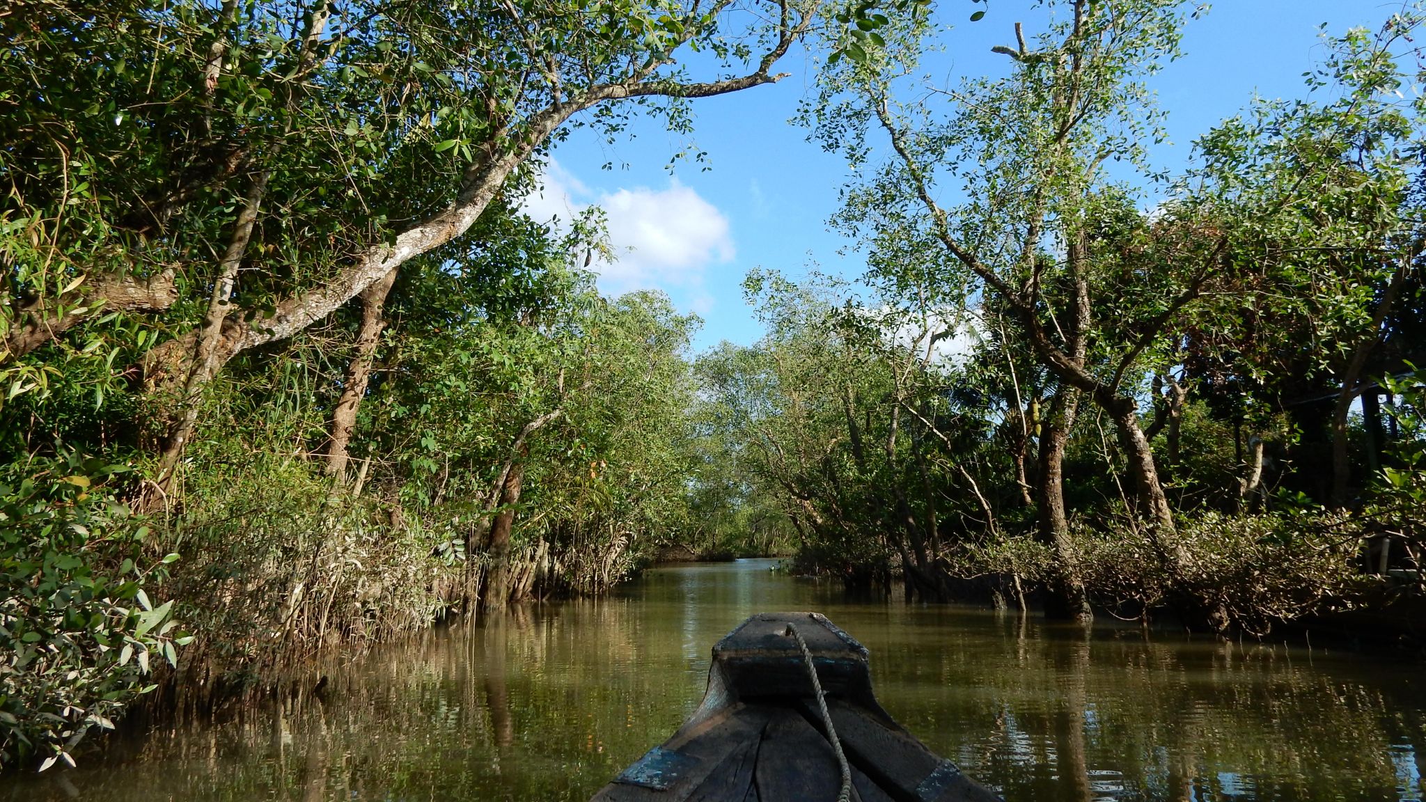 Day 3 Take A Small Rowboat Trip To Tan Phong Islet