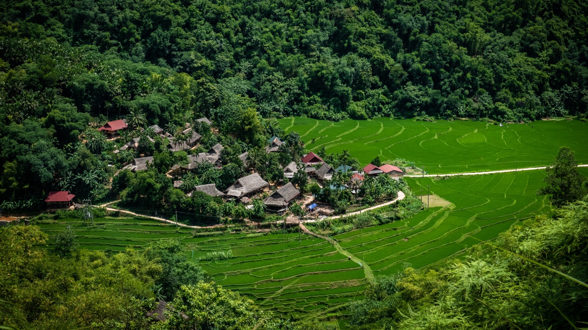 Day 3 Explore The Hidden Gem Mai Chau Valley