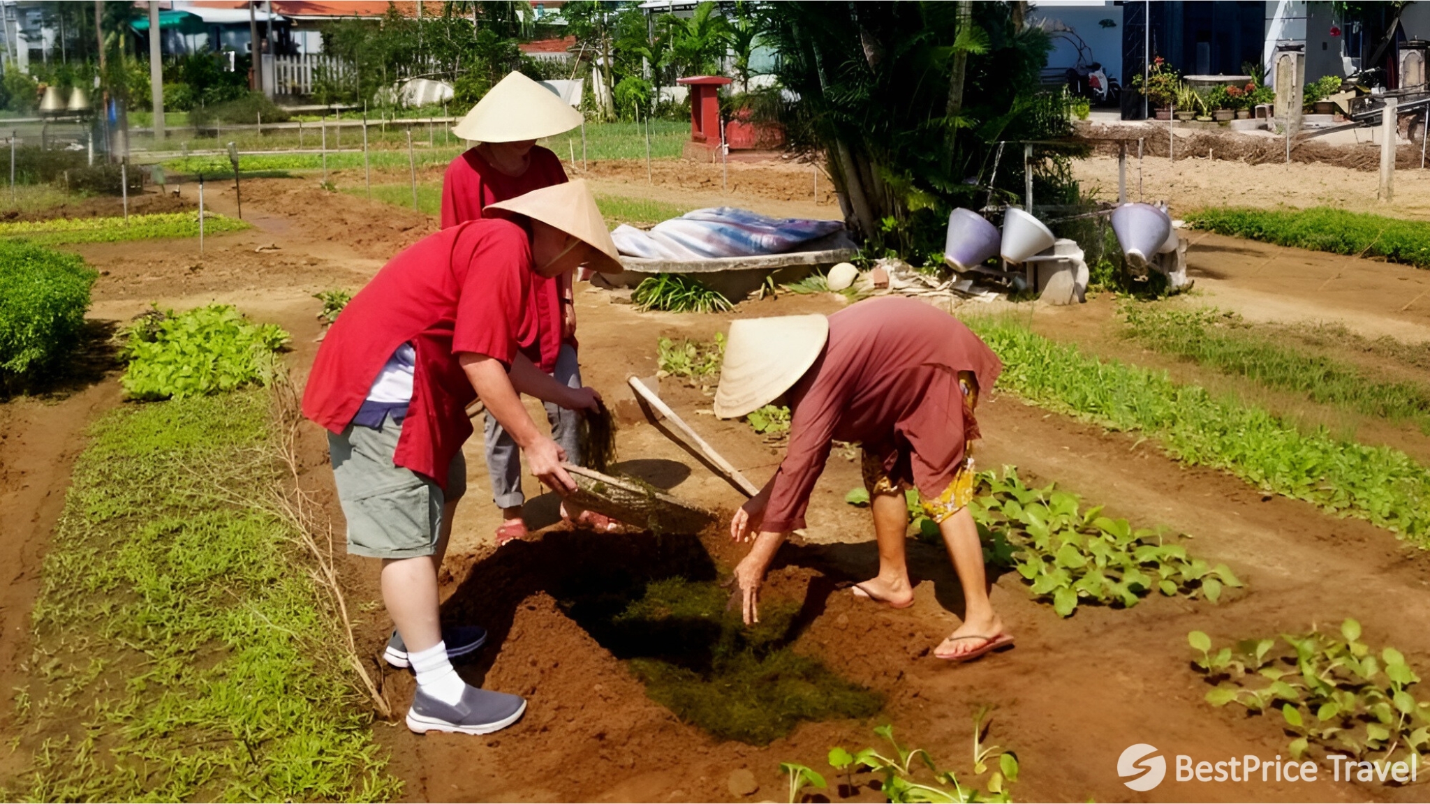 Day 9 Experience A Local Life As Farmer In Tra Que Vegetable Village