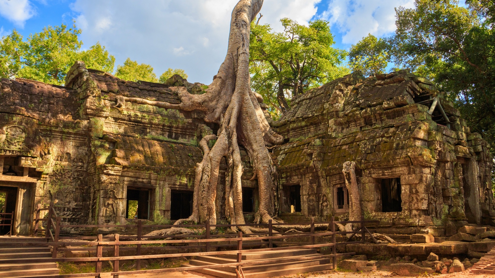 Day 9 Admire The Intricate Architecture Of Ta Prohm