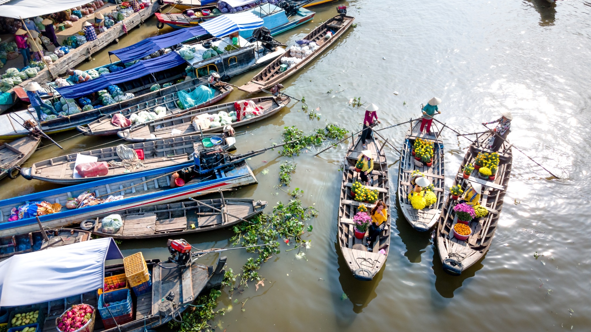 Day 16 Experience The Vibrant Atmosphere Of Cai Rang Floating Market