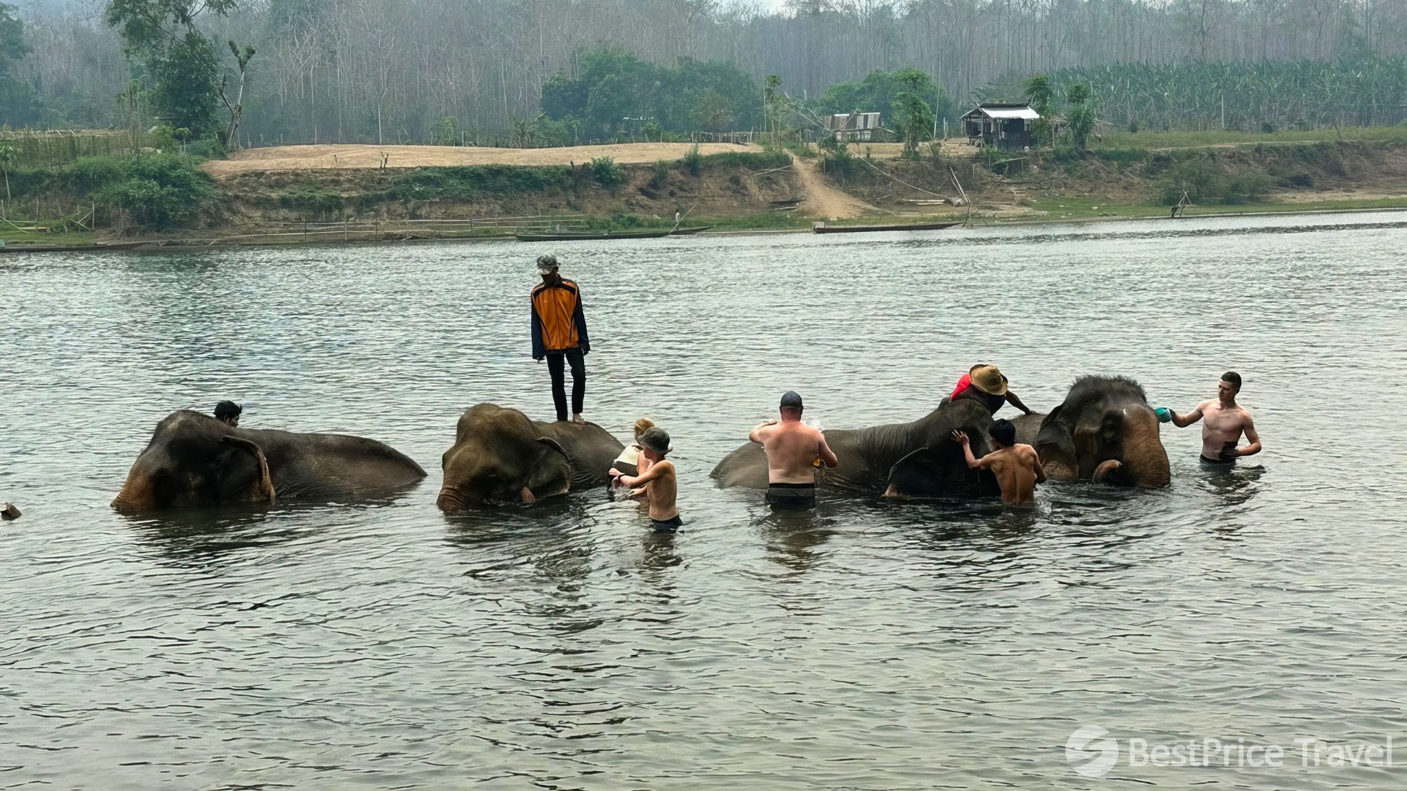 Day 10 Have The Chance To Interact With Lovely Elephants