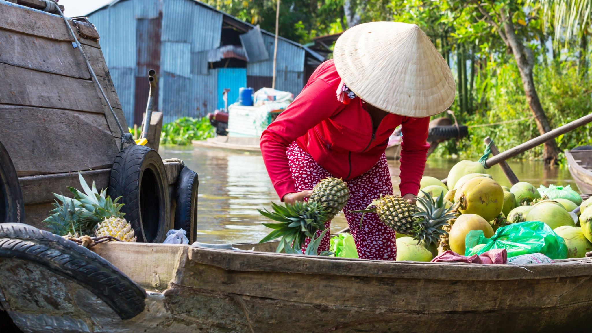 Day 6 Have The Chance To Try Multiple Fruits In Tan Phong Island