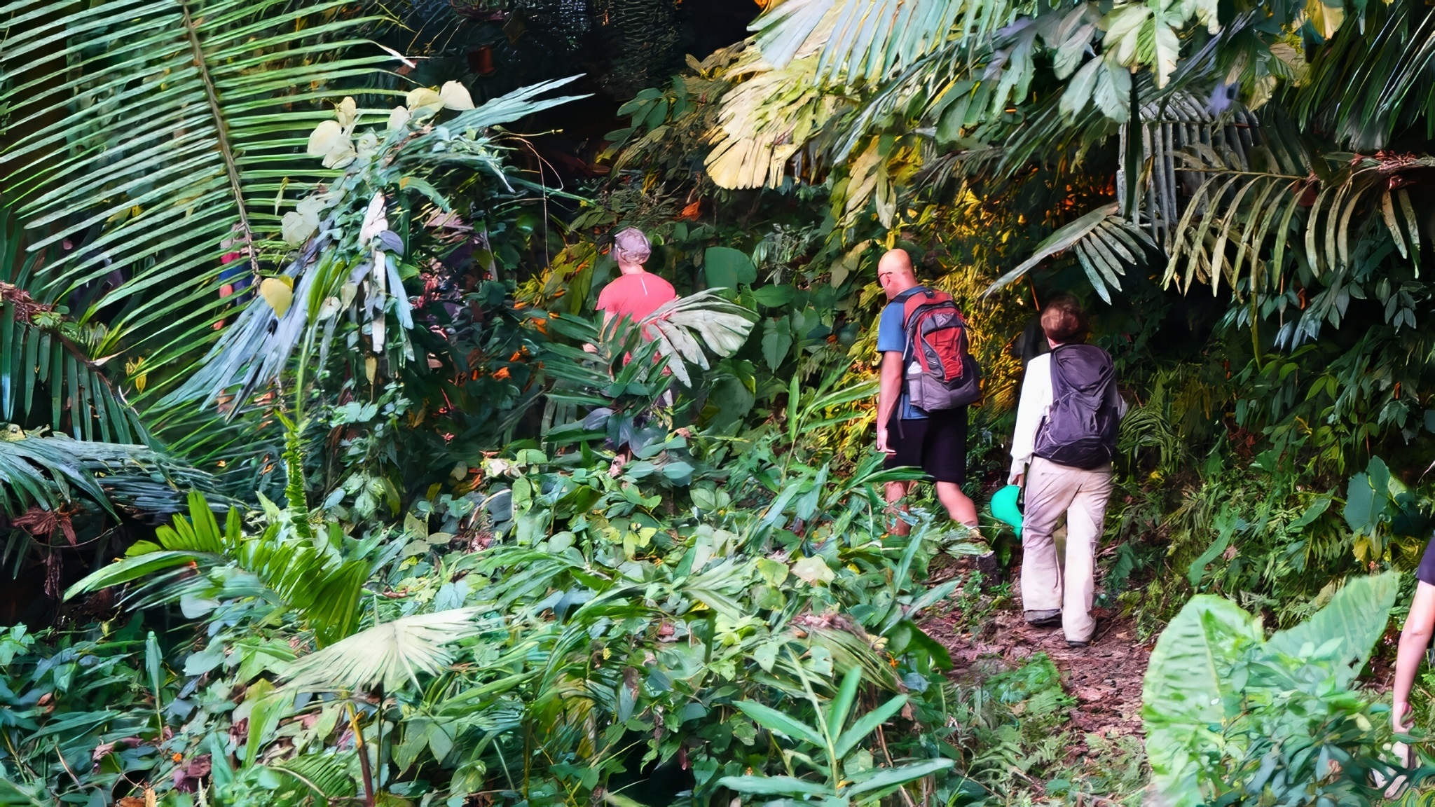 Day 5 Trek Through The Lush Trails Of Ba Be National Park