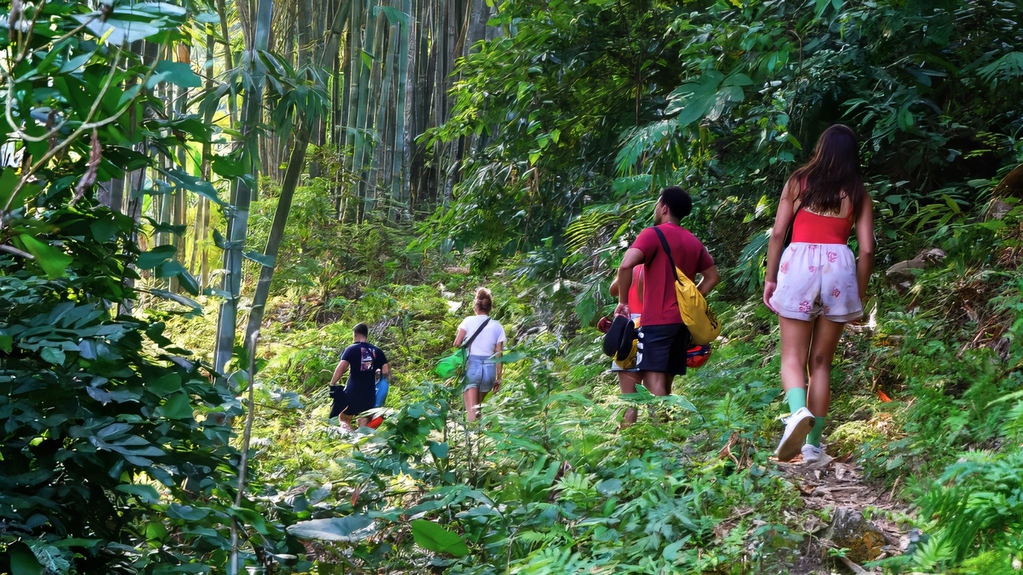 Day 6 Immerse In The Wild Beauty Of Ba Be Jungle On An Unforgettable Trek