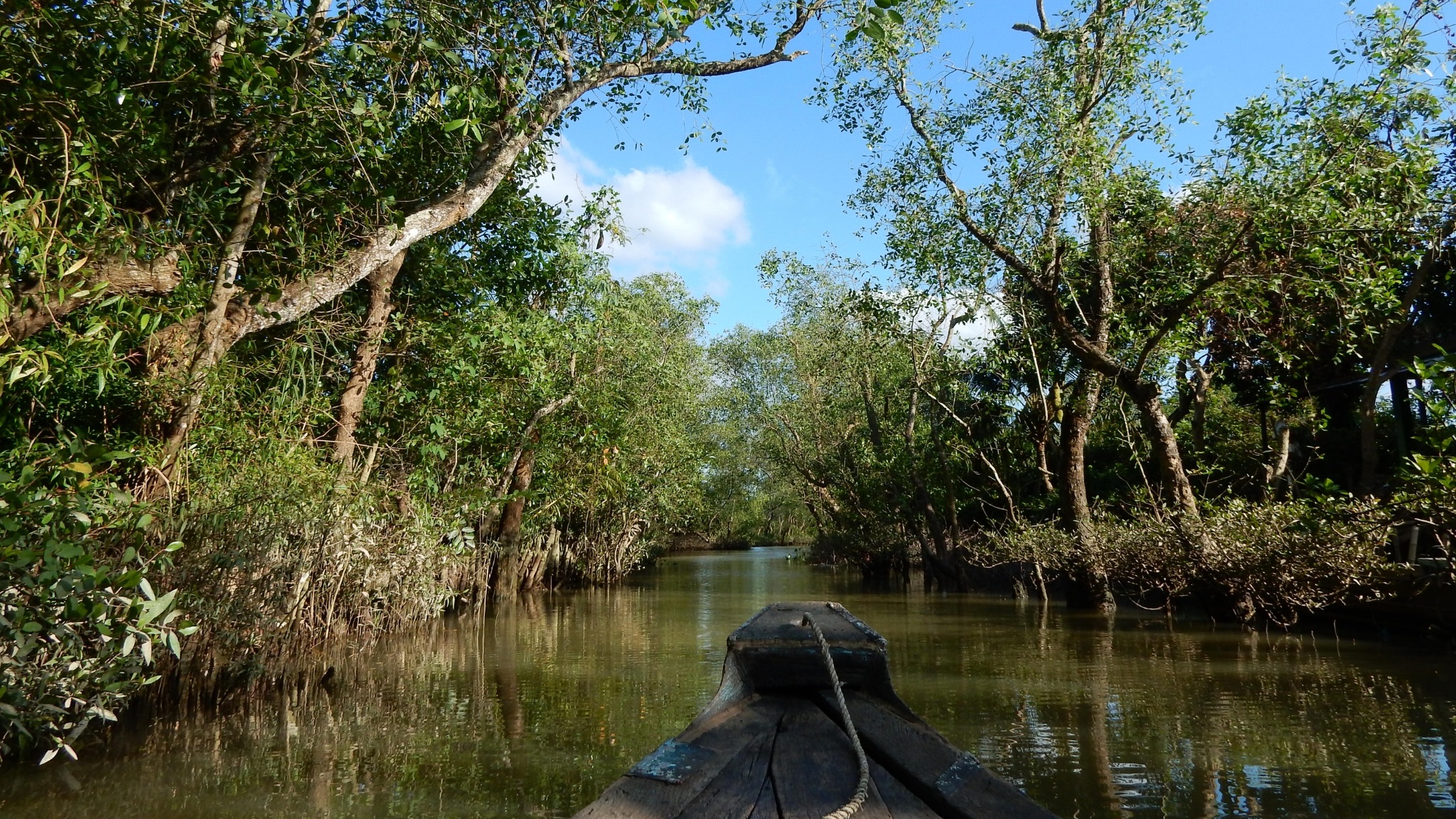 Day 12 Take A Boat Tour To Discover The Hidden Gem Of Tan Phong Island