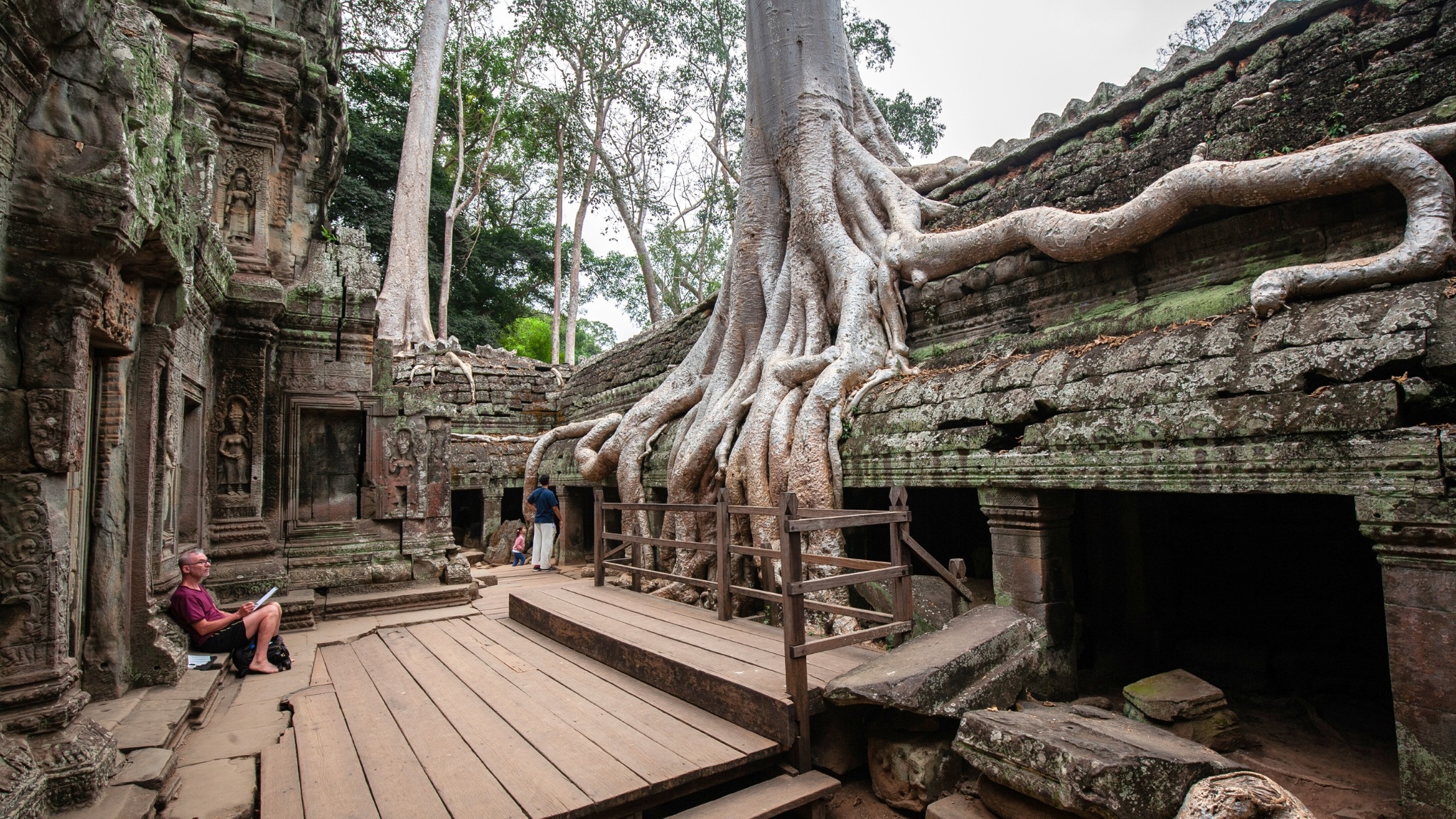 Day 10 Visit Ta Prohm A Mystical Temple With Stunning Giant Roots