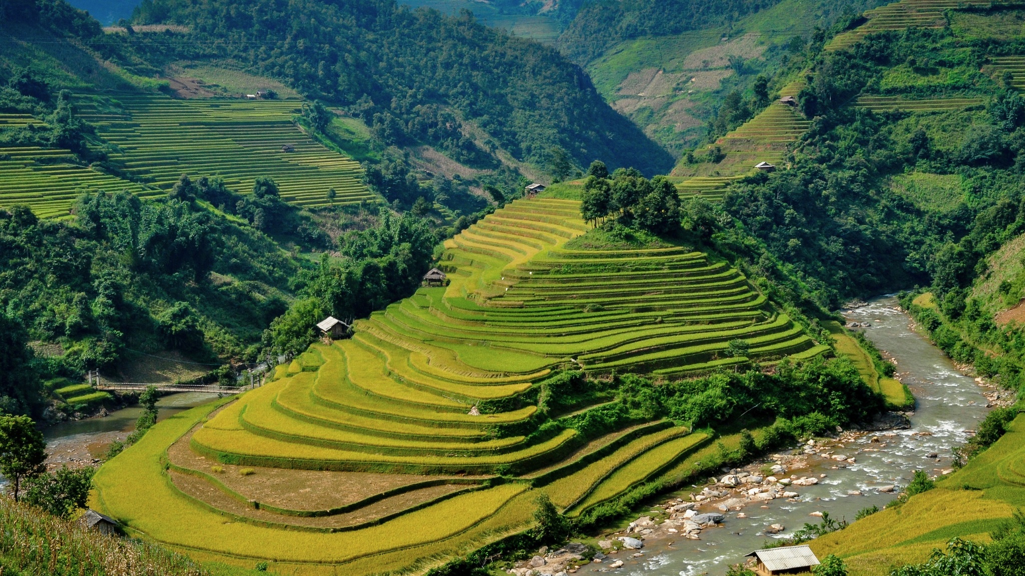 Day 4 Pass By The Stunning Terraced Rice Fields In Mu Cang Chai